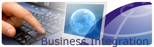 Business Integration 