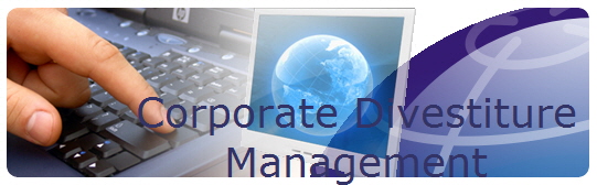Corporate Divestiture 
Management 
